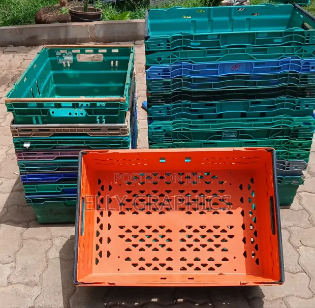 Plastic Crates for Storage - 1