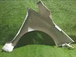 Nissan Leaf Aze0 Left Fender/Wing (2015) - 2