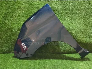 Toyota Tank M910A 2018 Left Fender