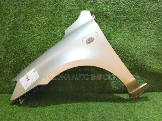 Mazda Demio DY3W Left Fender/Wing (2003) - 1