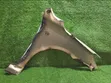 Mazda Demio DY3W Left Fender/Wing (2003) - 2