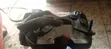 Bajaj Boxer 150 UG Dashboard - Brand New - 4