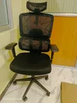 Boss Office Products Orthopedic Office Chair - Brand New - 1