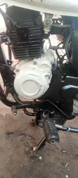 Bajaj Boxer 150 UG 2022 - Nyeupe - 5