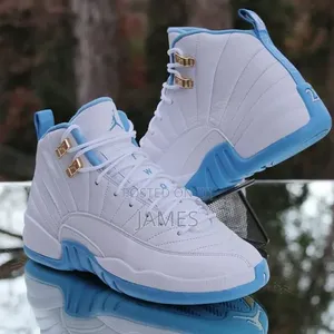 Air Jordan 12 Retro Melo Blue ya Chuo
