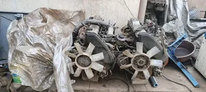 Toyota 1HD-T Engine for Sale