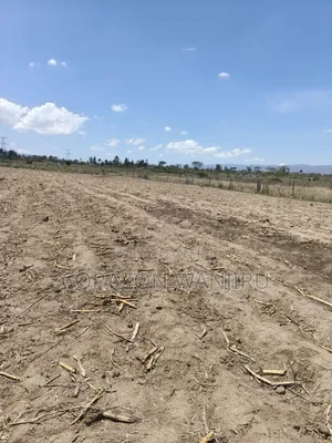 Kitalu cha 50x100 kinachouzwa Miti Mingi