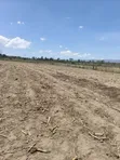 50x100 Plot for Sale in Miti Mingi - 1