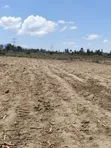 50x100 Plot for Sale in Miti Mingi - 2