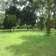 1/2 Acre Land for Sale in Karen, Nairobi - 2