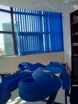 Vertical Blinds kwa Madirisha ya Ofisi - 2