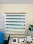 Double Layer Zebra Roller Blind - Adjustable Sunlight - 1