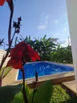 Nyumba ya Vyumba 2 Iliyo na Samani kwa Ajili ya Kupangisha katika Eneo la 4U, Diani - 3