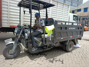 Apsonic Tipper Tuk-Tuk Mpya 300cc