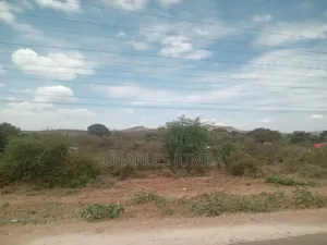 50 Acres Land for Sale in Mile 46, Bisil