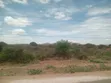 50 Acres Land for Sale in Mile 46, Bisil - 2