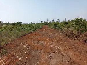 Viwanja 50x100 kwa Mauzo Tezo, Vyeo Tayari