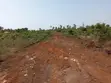 50x100 Plots for Sale in Tezo, Ready Titles - 1