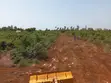 50x100 Plots for Sale in Tezo, Ready Titles - 2