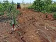 50x100 Plots for Sale in Tezo, Ready Titles - 4