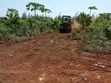 50x100 Plots for Sale in Tezo, Ready Titles - 5