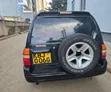 Suzuki Escudo 2002 Blue - 4