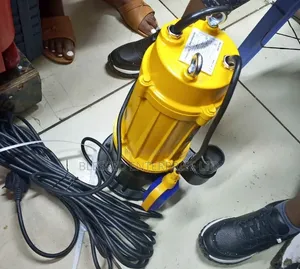 Professional Submersible Sewage Pump 2hp