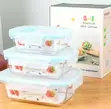 3pc Borosilicate Glass Food Storage Containers | Airtight Lids - 1