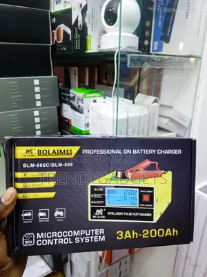 Bolaimei BLM-866C 12V/24V 15A Intelligent Battery Charger