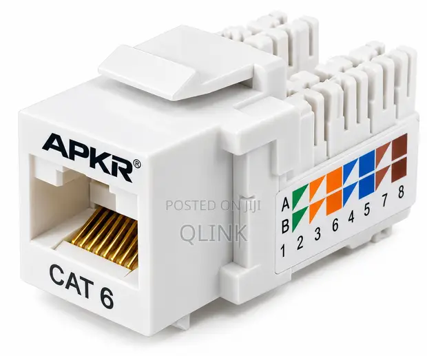 ApKR Cat 6 Module - 1