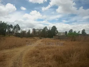 Kamakis Prime Commercial Plot - 50x100ft