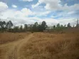 Kamakis Prime Commercial Plot - 50x100ft - 3