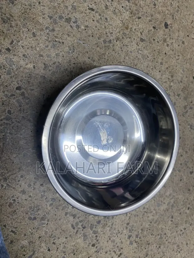 Brand New Dog Food and Water Bowls - 1