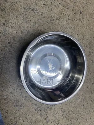 Brand New Dog Food and Water Bowls