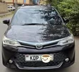 Toyota Corolla Fielder 2018 Burgundy - 3