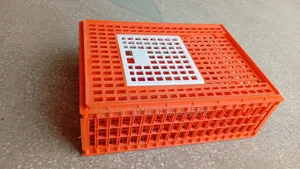 Medium Transport Crate for Chickens