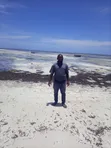 Diani Beach Plot - 1 Acre - 2