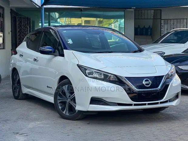 Nissan Leaf 2019 Pearl - 1