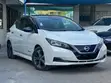 Nissan Leaf 2019 Pearl - 1