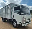 Isuzu NMR 3000cc Lori - 2021 - 4