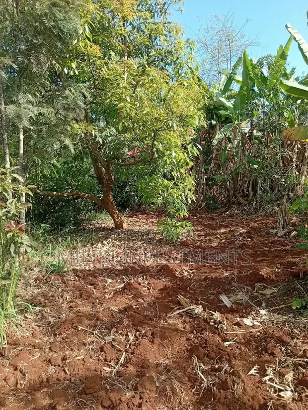 1 Acre Prime Land for Sale at Ithingu, Gatundu South - 1