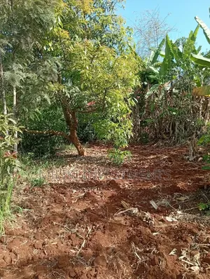 1 Acre Prime Land for Sale at Ithingu, Gatundu South