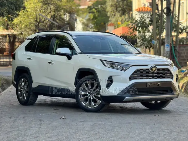 2019 Toyota RAV4 Pearl - 1