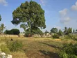 50x100ft Plot for Sale in Majaoni, Mombasa - 4