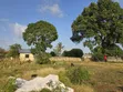 50x100ft Plot for Sale in Majaoni, Mombasa - 5
