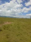 Prime 1 Acre Land for Sale - Karandi, Nakuru - 2