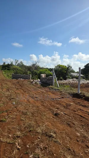 Prime 50x100ft Plots for Sale in Bofa, Kilifi