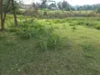 Eneo la 2 Eka za Makazi kwa Uuzaji Ongata Rongai - 4