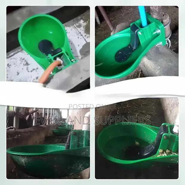 Kinywaji cha Ng'ombe cha Plastiki - Mfumo wa Maji kwa Mifugo - 1