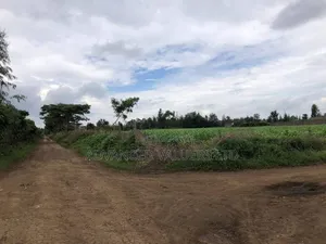 Eneo la Eka 6 Makuu Kona Mangu, Kaunti ya Nakuru
